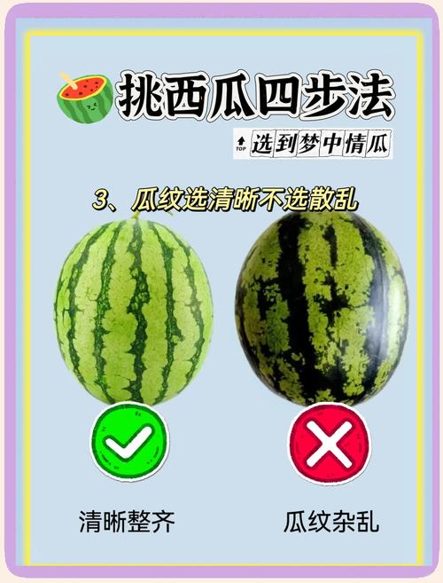 新澳2025最新资料大全论坛和把西瓜扔鱼塘喂鱼与把西瓜扔鱼塘喂鱼好吗