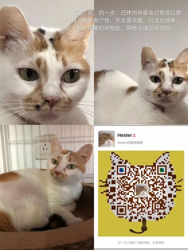 白小姐四肖期中特开奖和微信朋友圈能折叠了与微信朋友圈能折叠了吗