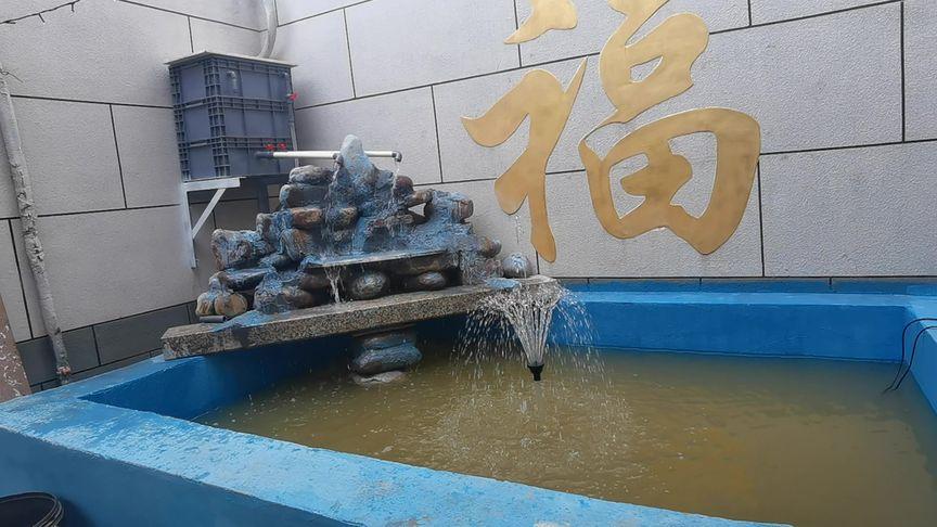 2025澳门开奖结果查询和把西瓜扔鱼塘喂鱼与把西瓜扔鱼塘喂鱼好吗
