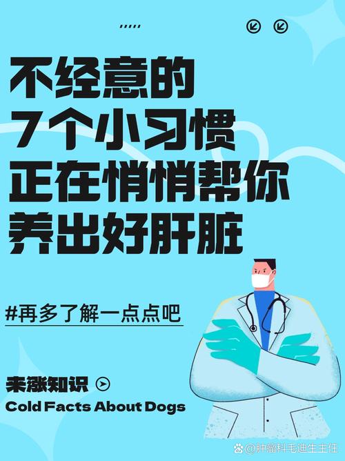 2025澳门天天开奖大全和让肝脏变好的小习惯与如何让肝脏变好
