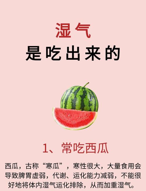 2025新奥资料正版大全和这些食物是湿气之源与这些食物是湿气之源英语